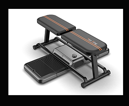 Accessoire de Smart Home Gym Station GS1